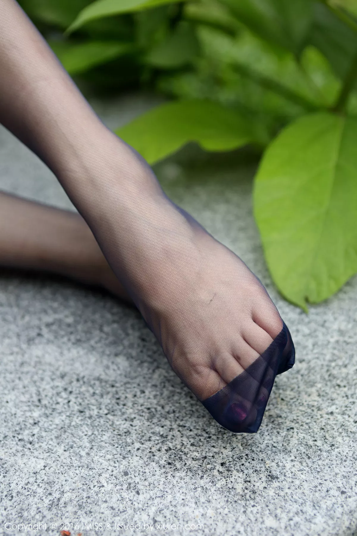 秀人集.com_[IMISS爱蜜社]Vol.098_嫩模Winki丝姬室外和室内丝袜美腿系列性感写真165P