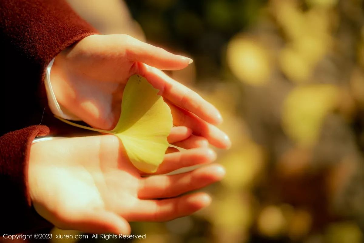 秀人集.com_[XiuRen秀人网]No.6137_模特婠婠么性感白T配黑色短裙露超薄黑丝秀曼妙身姿诱惑写真91P