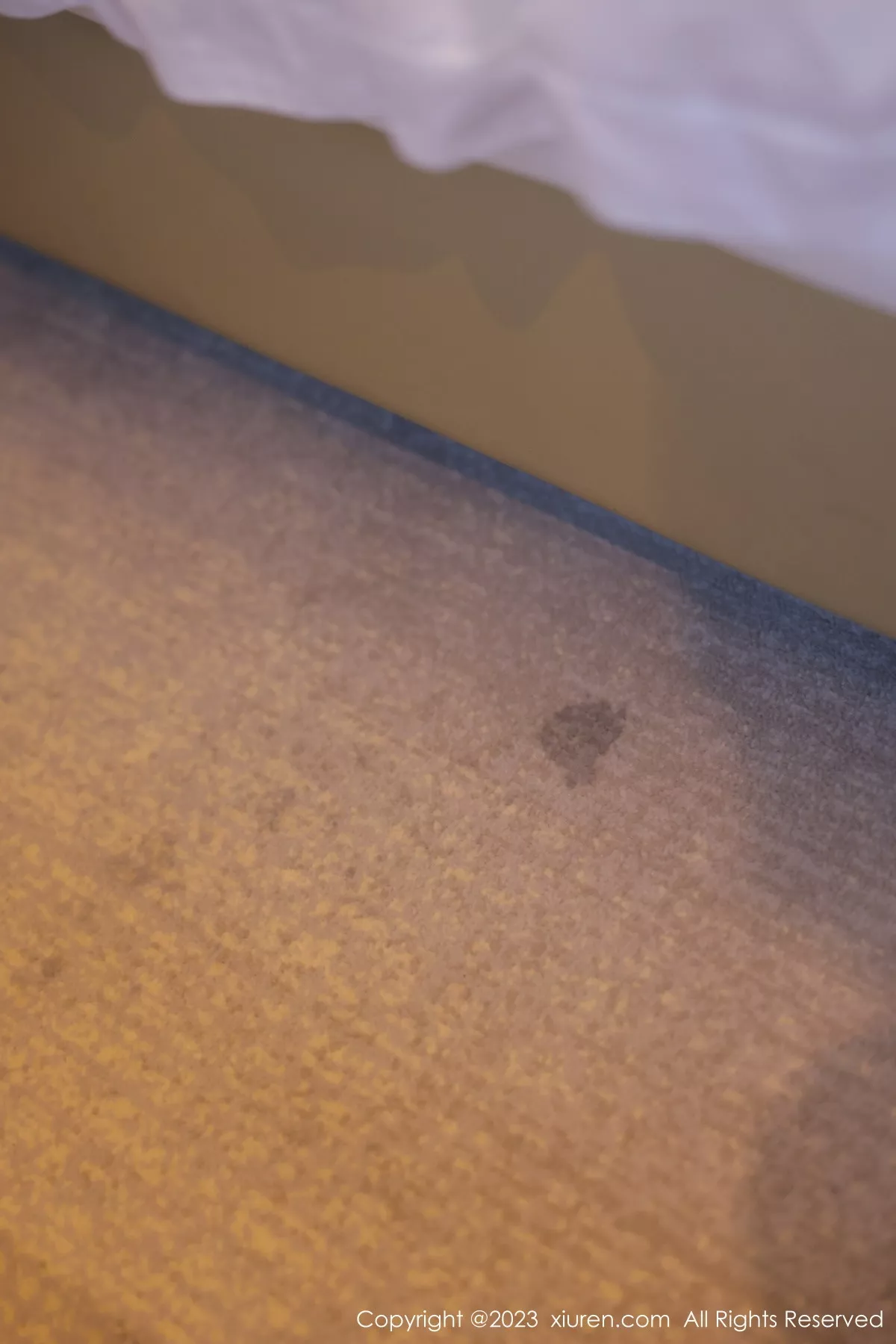 秀人集.com_[XiuRen秀人网]No.6329_模特谢小蒽私房半脱露粉色蕾丝内衣配超薄无内肉丝惹火诱惑写真94P