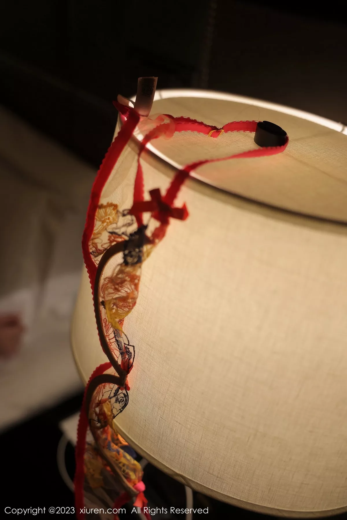 秀人集.com_[XiuRen秀人网]No.6317_模特林珊珊黑色吊带短裙露轻透花色蕾丝情趣内衣撩人诱惑写真105P