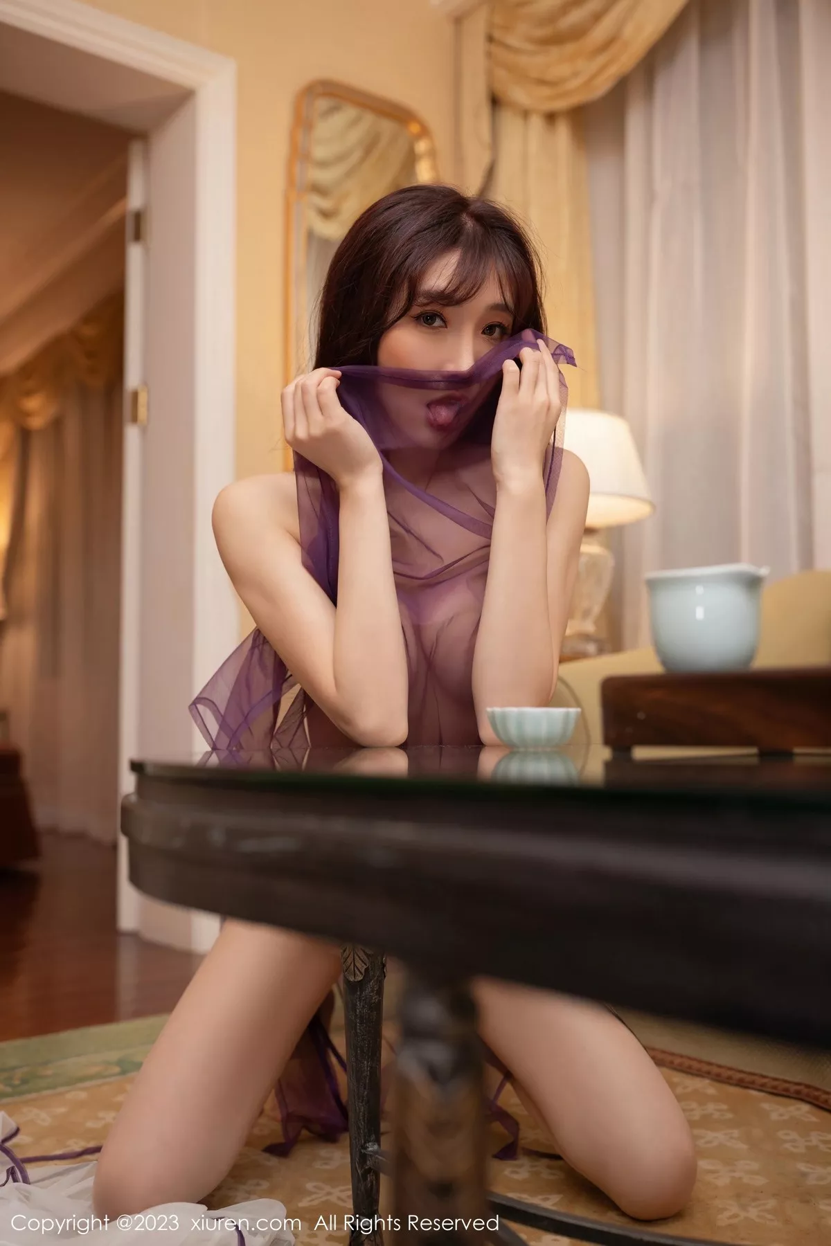 秀人集.com_[XiuRen秀人网]No.6608_模特陆萱萱性感紫色轻透古装服饰透视秀惹火身材极致诱惑写真80P