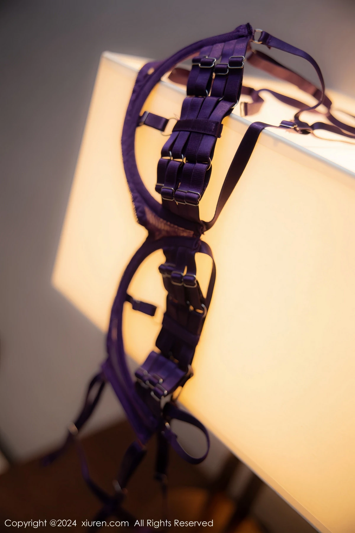 秀人集.com_[XiuRen秀人网]No.8046_新人模特李若汐黑色薄纱长裙露紫色情趣内衣秀惹火身段诱惑写真94P