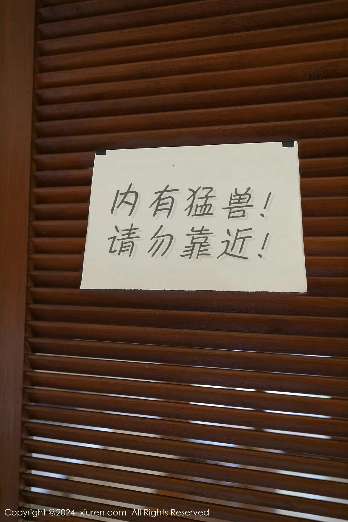 秀人集.com_[XiuRen秀人网]No.8029_模特幼幼野兽装扮性感薄纱服饰配白丝网袜秀惹火身材诱惑写真80P