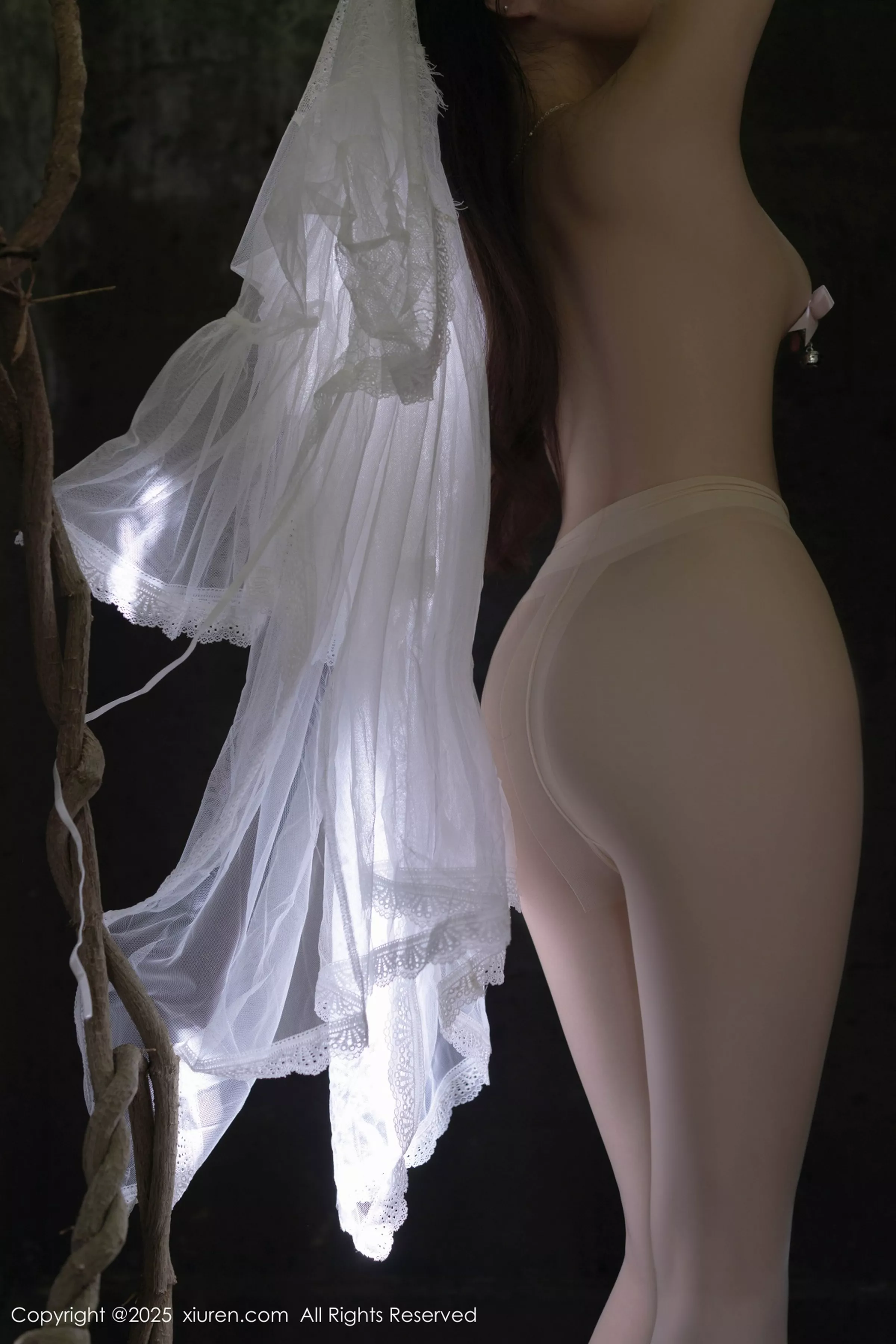 秀人集.com_[XiuRen秀人网]No.10173_模特鱼子酱Fish性感白色轻透连衣裙透视秀惹火身材撩人诱惑写真80P