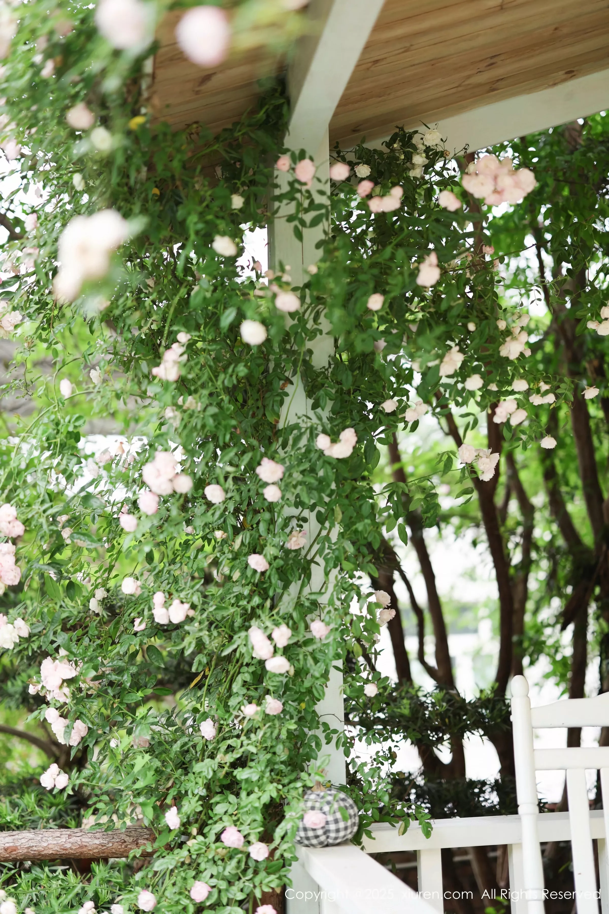 秀人集.com_[XiuRen秀人网]No.10215_新人模特茂木希子性感红色裙子配肉色丝袜秀完美曲线诱惑写真82P